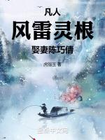 風雷翅凡人修仙傳