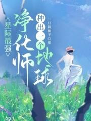 星際最強能量轉化師