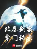 北辰劍宗掌門秘錄盜版