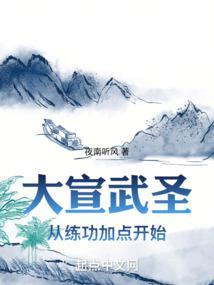 大宣武圣从练功加点开始  免费