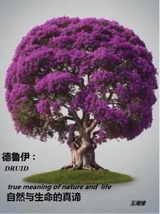 德魯伊出處