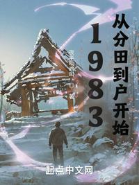 1983從分田到戶開始完整版