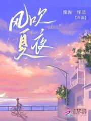 風吹夏夜精編版