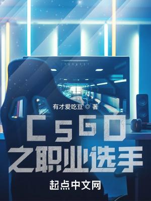 csgo之職業選手TXT全文