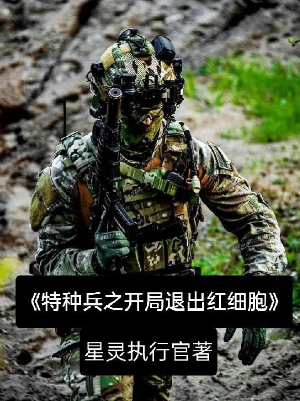 特種兵開局被招安免費全本