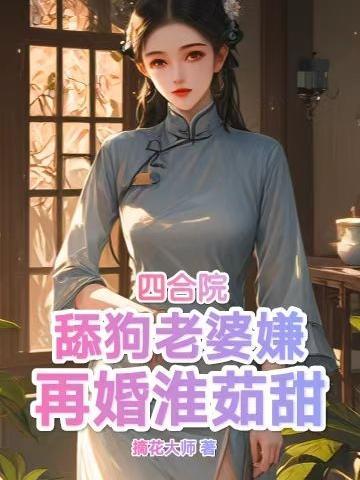 再婚淮茹甜TXT