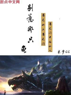 别惹那只龟完整版