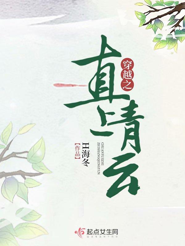 穿越之直上青雲書評