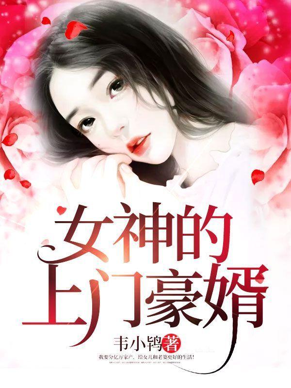 女神的上門豪婿