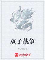 雙子戰争